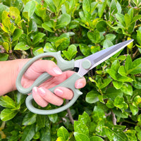 Hand holding green gardening shears against a green bush by House of Agave.