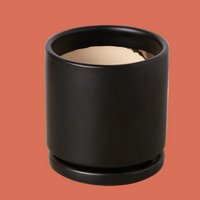Black cylindrical planter on a peach background from House of Agave.