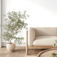 Potted Olive Tree in a room with a neutral floor and neutral beige sofa.