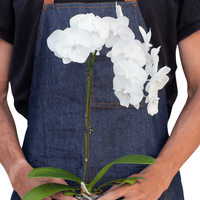 Person wearing a denim apron holding a potted white orchid plant from House of Agave.