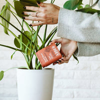 Plant receiving organic plant food from Arber.