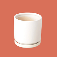 White ceramic planter on a white background from House of Agave.