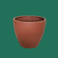 Terracotta eco pot on a green background from House of Agave.