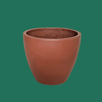 Terracotta eco pot on a green background from House of Agave.
