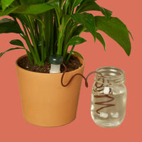 Automatic Plant Waterer