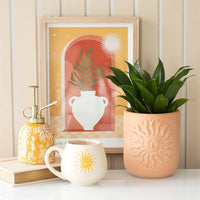 Terracotta Planter with sun design on the front.