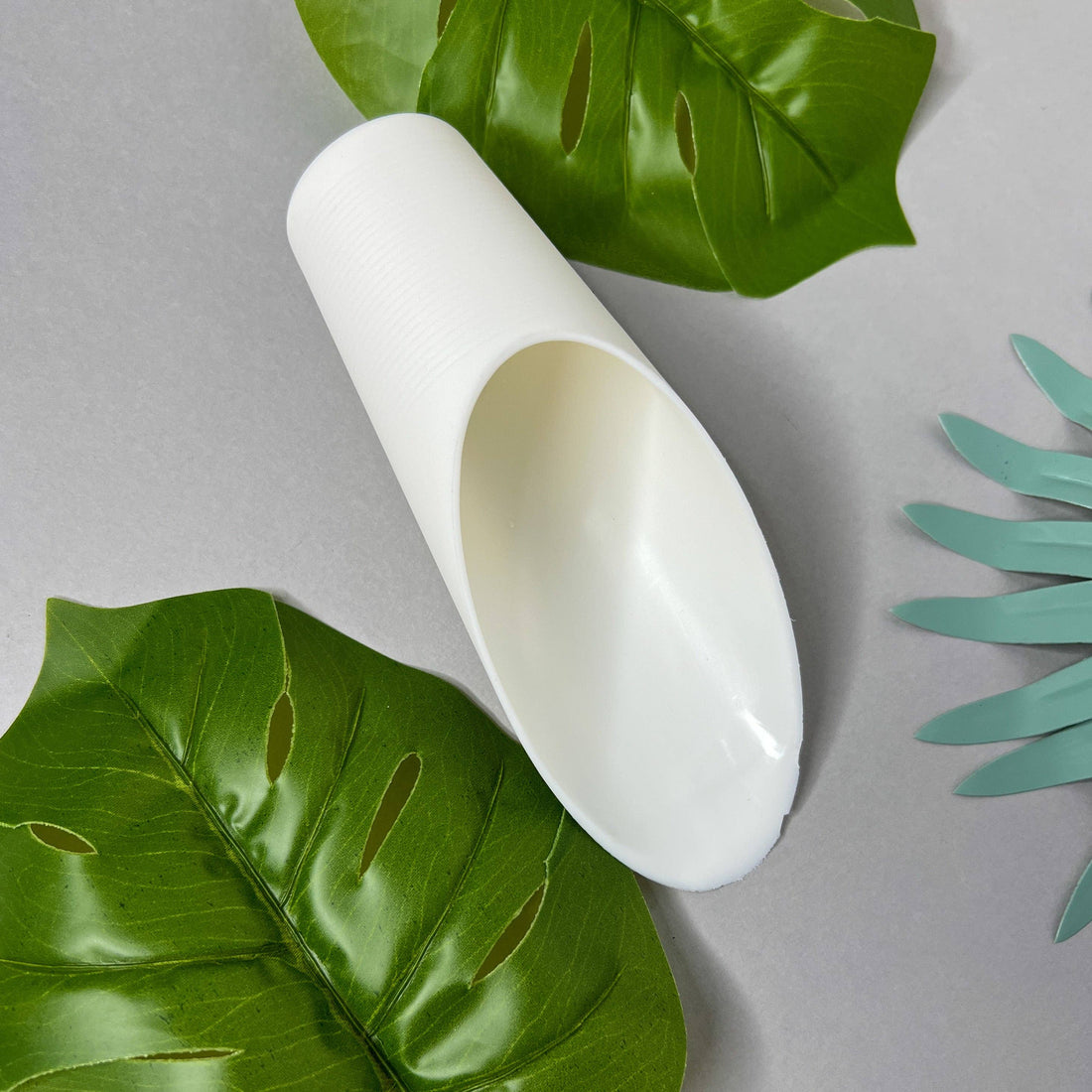 Plant Scoop