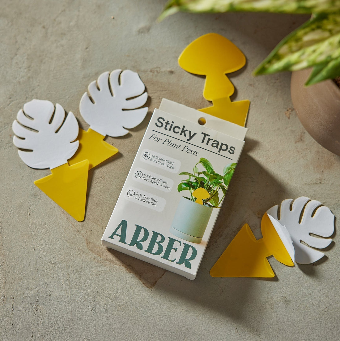 Box of ARBER sticky traps for plant pests on a neutral background with decorative plant leaves.