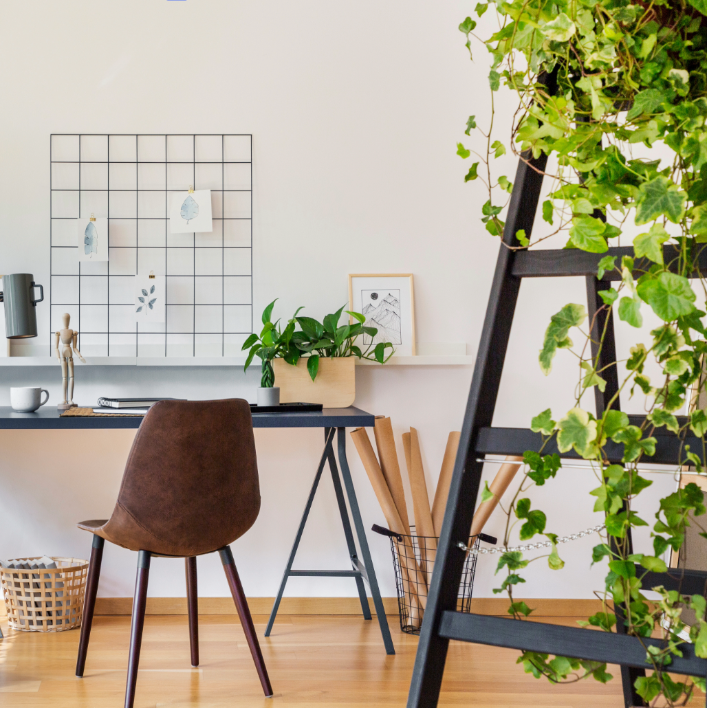 Interior plant design services Austin, Texas.