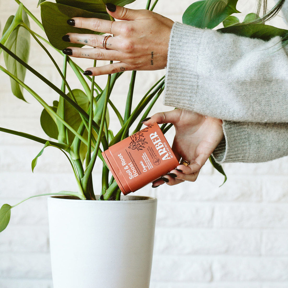 Organic Plant Food - Soil & Root Boost