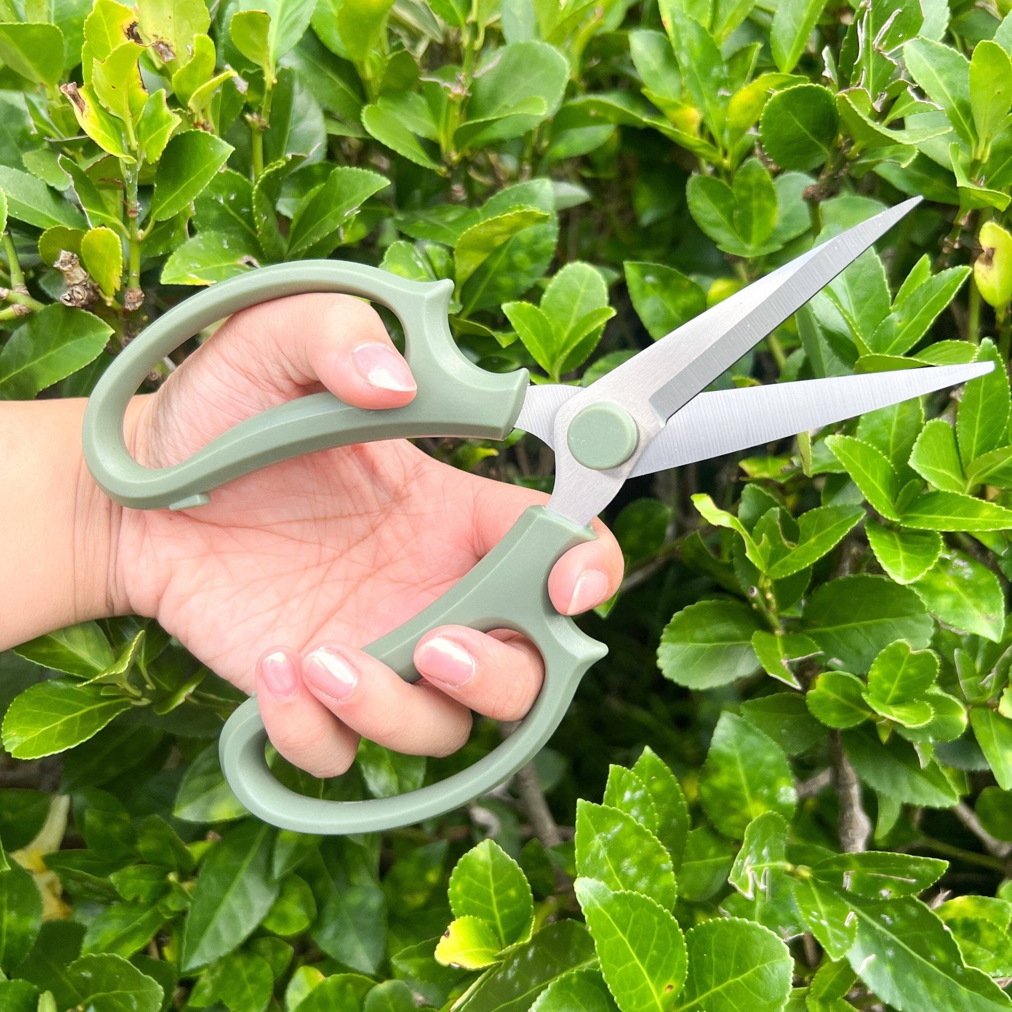Gardening Supplies | Planters & More | House of Agave