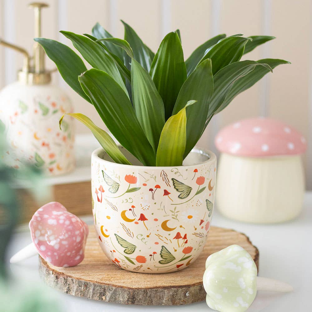 Decorative ceramic planter with a plant on a wooden stand, surrounded by decorative items.