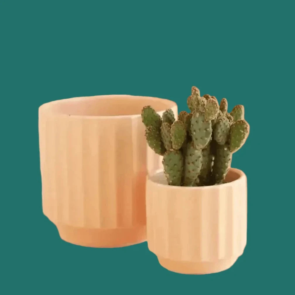 Small ceramic planter in a the color sunset. 